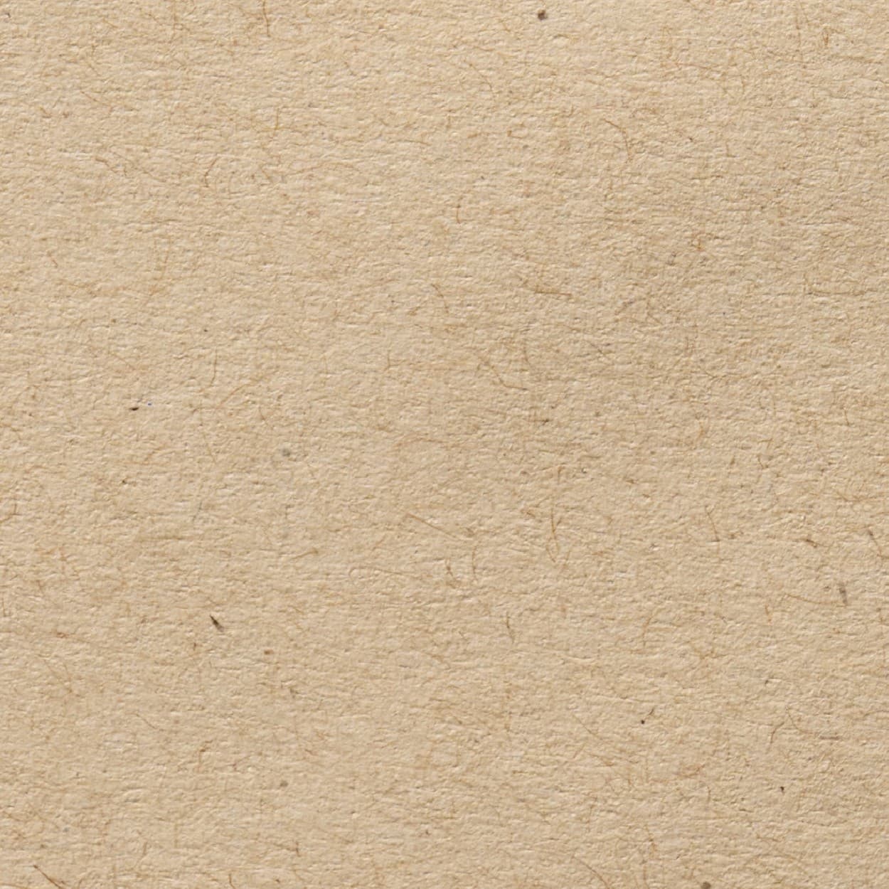 Natural Kraft Paper — brown, visible-fiber label stock